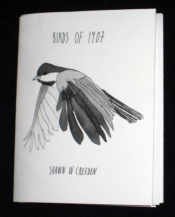 birds of 1907 book