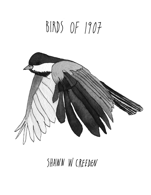 birds of 1907