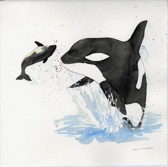 orca and porpoise