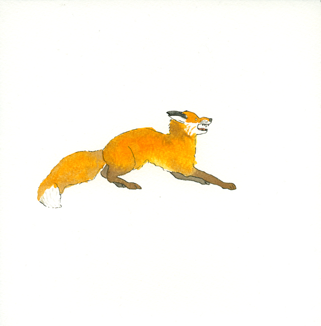 rabid fox